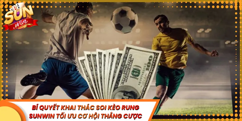 Bí Quyết Khai Thác Soi Kèo Rung Sunwin Tối Ưu Cơ Hội Thắng Cược